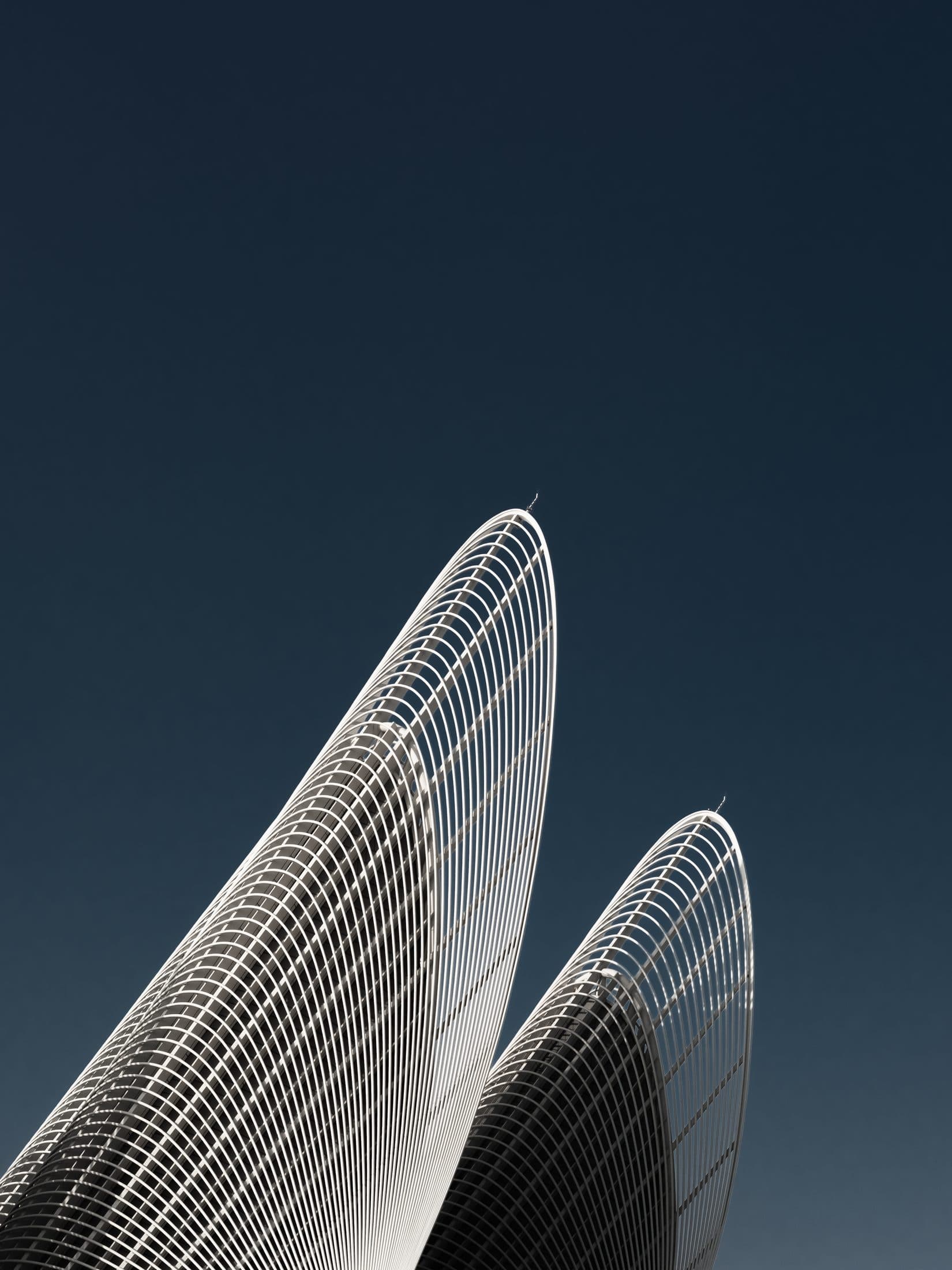 Selected frame documented by Geomorph Studio