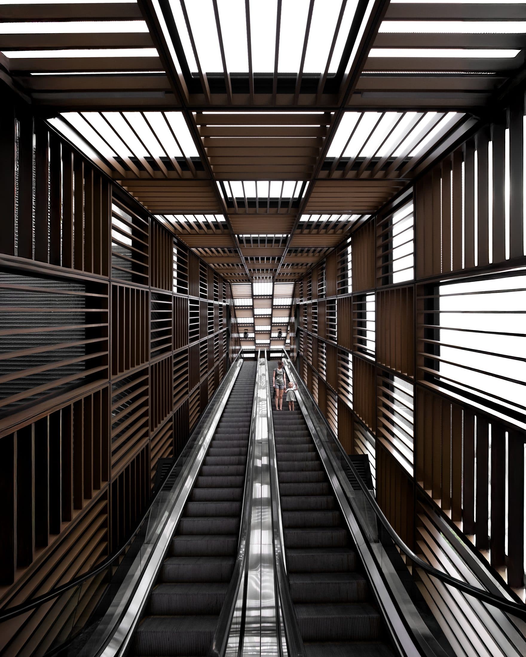 Selected frame documented by Geomorph Studio